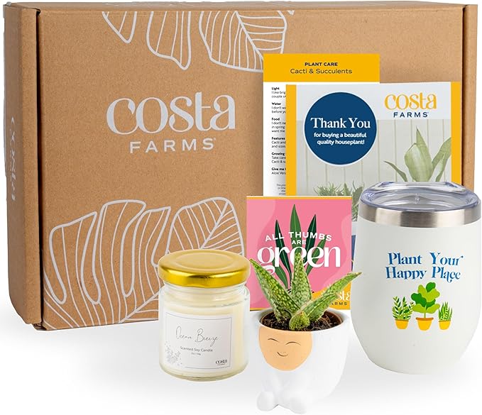 Costa Farms Live Plant Gift Box, Succulent Live Indoor Houseplant, Perfect Birthday and Holiday Gift, Includes Mini Succulent, Insulated Tumbler, Soy Candle, Collectible Sticker, Cute Room Decor