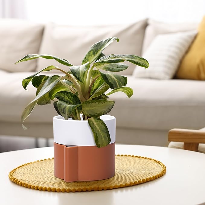 6.5 Inch Self-Watering Planter Pot with Terracotta Insert, Deep Water Reservoir, and Ceramic-Alike BPA-Free Plastic Pot for Plant, Modern Planter for Houseplants, Terracotta/White, 53-B-S-6