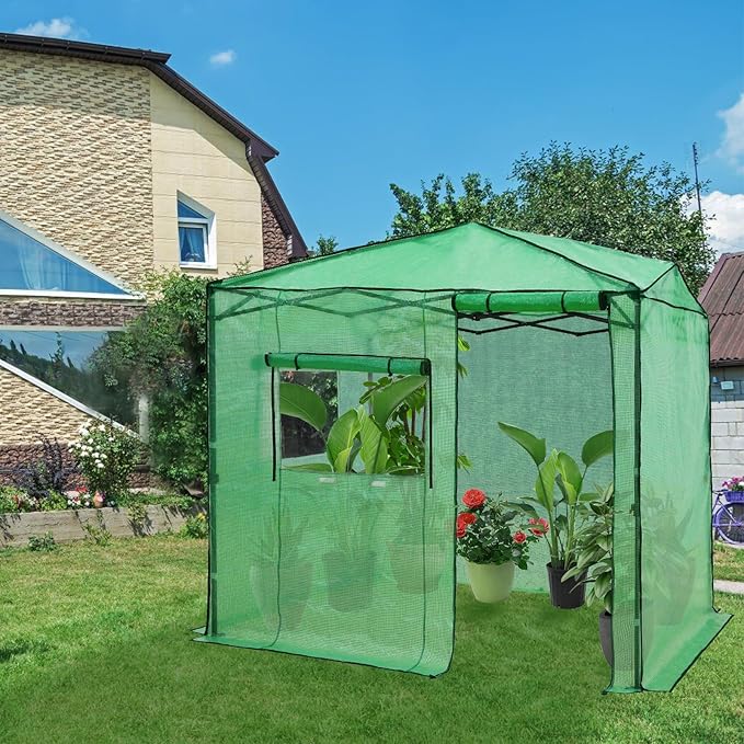 EAGLE PEAK 8x6 Portable Walk-in Greenhouse, Pop-up Indoor Outdoor Garden Green House, Zippered Door and Window, PE Cover, Green