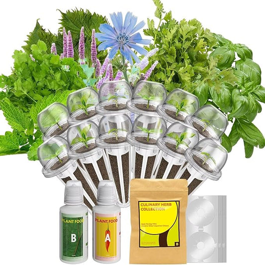 inbloom Herb Seed Pod Kit for AeroGarden, iDOO, Ahopegarden, MUFGA Hydroponic Growing System Indoor Garden, 12-Pod, 350+ Seeds Included Basil, Mint, Cilantro, Parsley, Shiso, Chicory, Liquorice