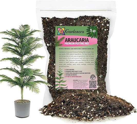 Premium Araucaria Potting Soil Mix - Perfect Balance of Nutrients, Drainage, and Aeration for Healthy Araucaria Trees - 1 Quart
