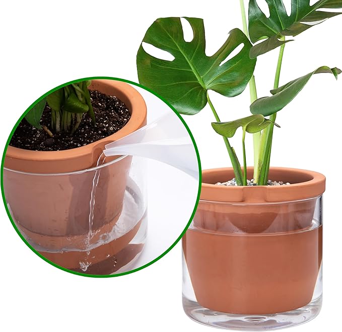 D'vine Dev 8 Inch Design Self Watering Pot for Indoor Plants, Terracotta Planter with Cylinder Glass Cup, Set of 1, 37-X-C-1