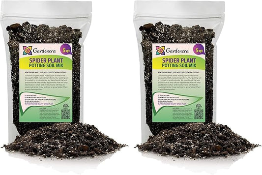 Premium Spider Plant Potting Soil Mix (2 Bags of 5 Quart)