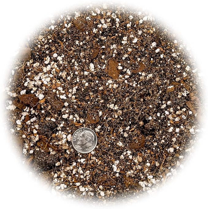 Fiddle Leaf Fig House Plant Soil Premium All Purpose Blend - Peat Moss, New Zealand Bark, Coco Chips and Fibers, Perlite - 3 Quart Bag