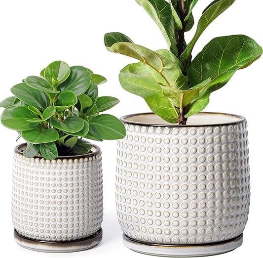 D'vine Dev 8 Inch 6 Inch Ceramic Indoor Planter Pots with Drainage Hole and Saucer, Beaded Design Flower Pots, Set of 2, Smoked White, 27-D-P-1