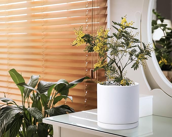 D'vine Dev 8 Inch & 10 Inch Ceramic Planter Pot for Plants with Drainage Hole and Saucer, Large Plant Pots Set, White, 94-G-L-1