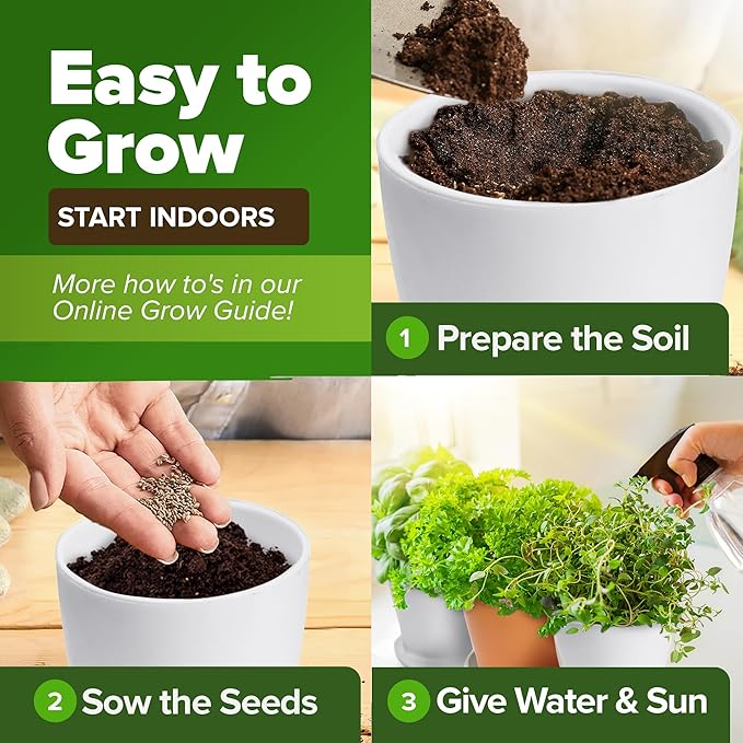 HOME GROWN 25 Herb Seeds for Planting 8,700+ Non-GMO Heirloom Seeds | Extra Large Variety Pack Herb Kit – Indoor Outdoor & Hydroponic | Culinary Seed Set | Grow Your Own Herbs | Gardening Gift