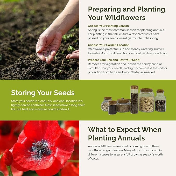 Eden Brothers Fairytale Flower Mixed Seeds for Planting, 1 lb, 480,000+ Seeds with Calendula, Cosmos Dazzler, Cornflower | Attracts Pollinators, Plant in Spring or Fall, Zones 3, 4, 5, 6, 7, 8, 9, 10