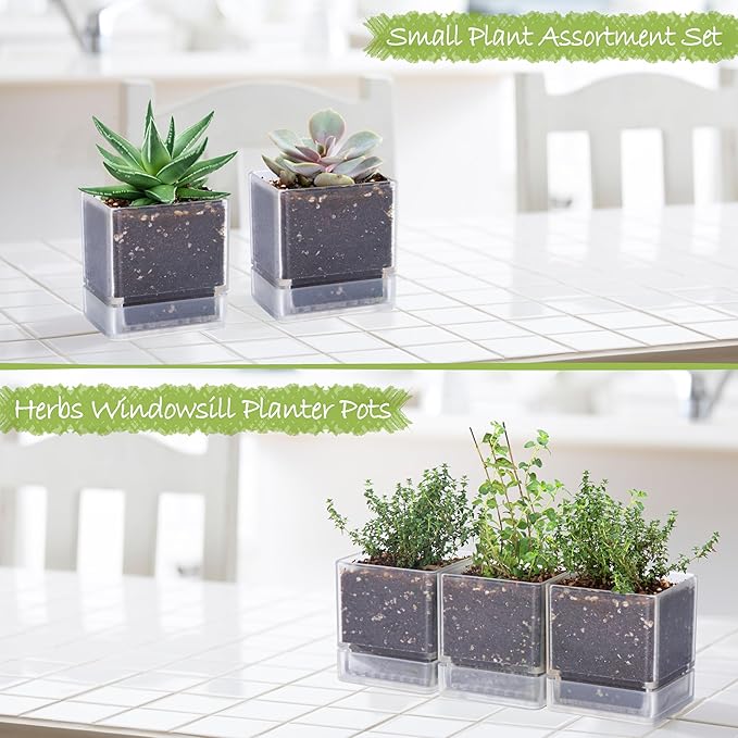 4 Inch Herb Planter Pot, Plastic Planter with Drainage Holes and Saucer, Modern Decorative Gardening Pot for Indoor Plants, Flowers, Herbs, Succulents, Clear, Set of 3, 76-Y-D-3