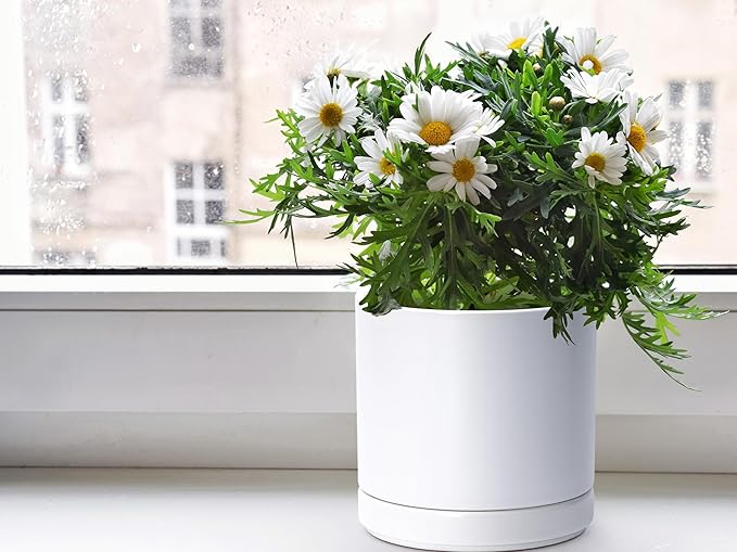 D'vine Dev 4.7 Inch & 6 Inch Ceramic Planter Pots for Plants with Drainage Hole and Saucer, Small Plant Pots Set, White, 94-G-S-1