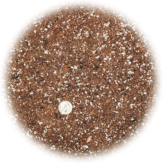 Professional Carnivorous Plant Soil - Ready to Use for Venus Flytraps, Sundews, Pitcher Plants, Butterworts | Peat Moss, Coco Coir, Perlite - 2 Quart Bag