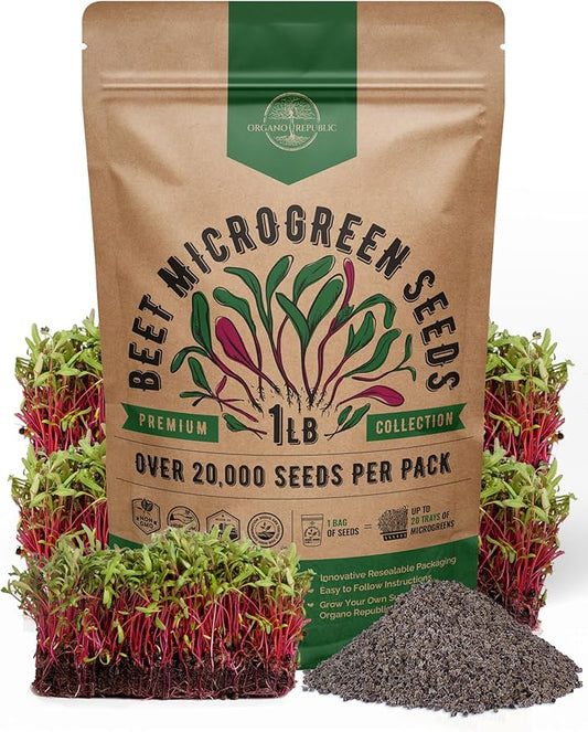 Organo Republic Beet Sprouting & Microgreens Seeds - 20,000 Non GMO Heirloom Seeds, Sprouts in Bulk 1lb Resealable Bag for Planting and Growing in Soil, Coconut Coir, Aeroponic & Hydroponic System
