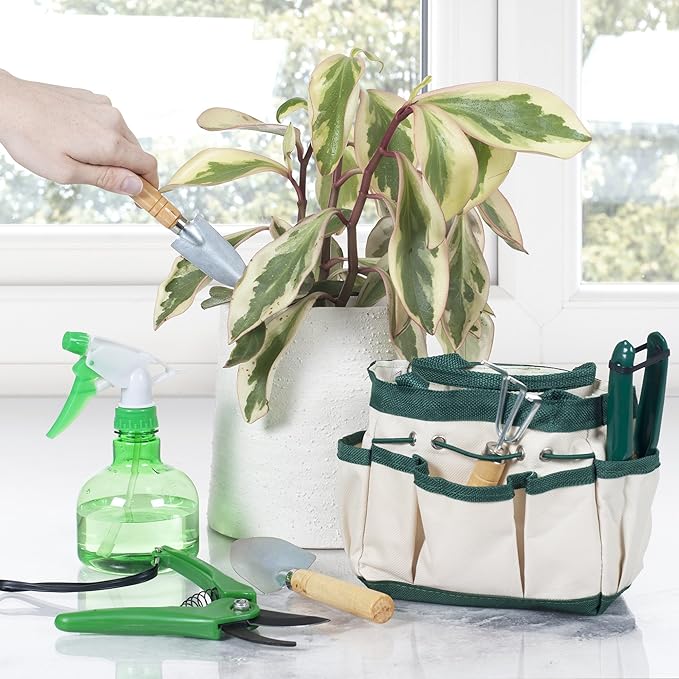 Pure Garden 7 Piece Gardening Tool Set – Mini Planting and Repotting Kit and Carrying Tote Bag Organizer for Succulents, Herbs, and Bonsai Plants