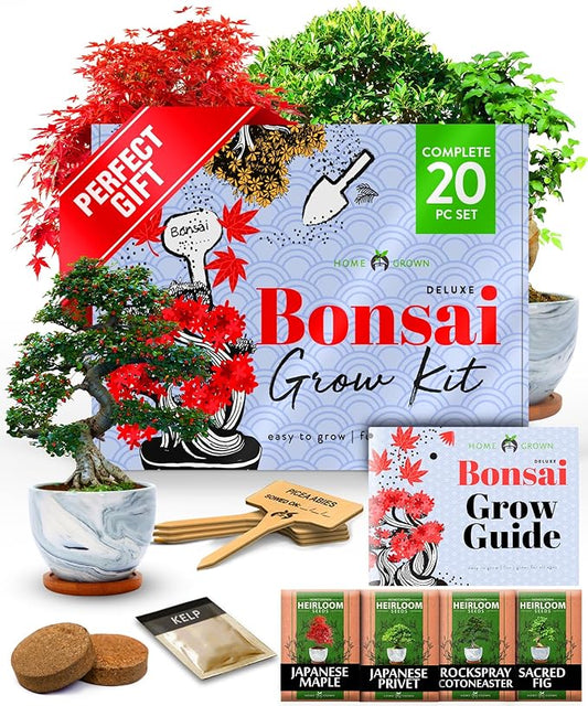 HOME GROWN Bonsai Tree Kit - Premium Ceramic Starter Kit - 4 Variety of Bonsai - Unique Gift for Men and Women Gardeners