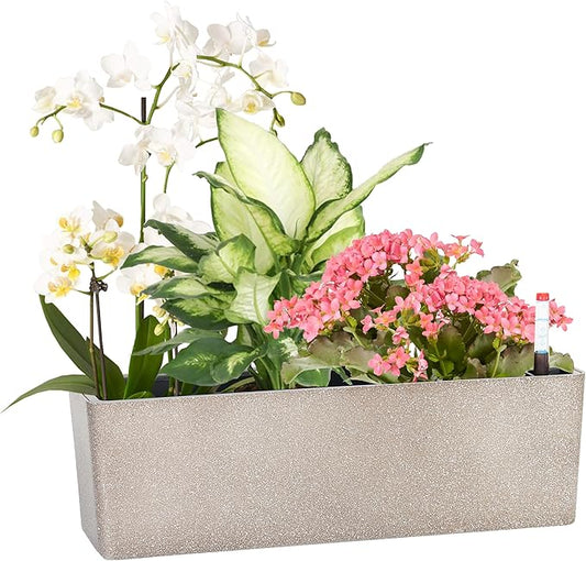 GardenBasix Elongated Self Watering Planter Pots Window Box 5.5 x 16 inch Indoor Home Garden Modern Decorative Planter Pot for All House Plants Flowers Herbs (Coffee,1-Pack)