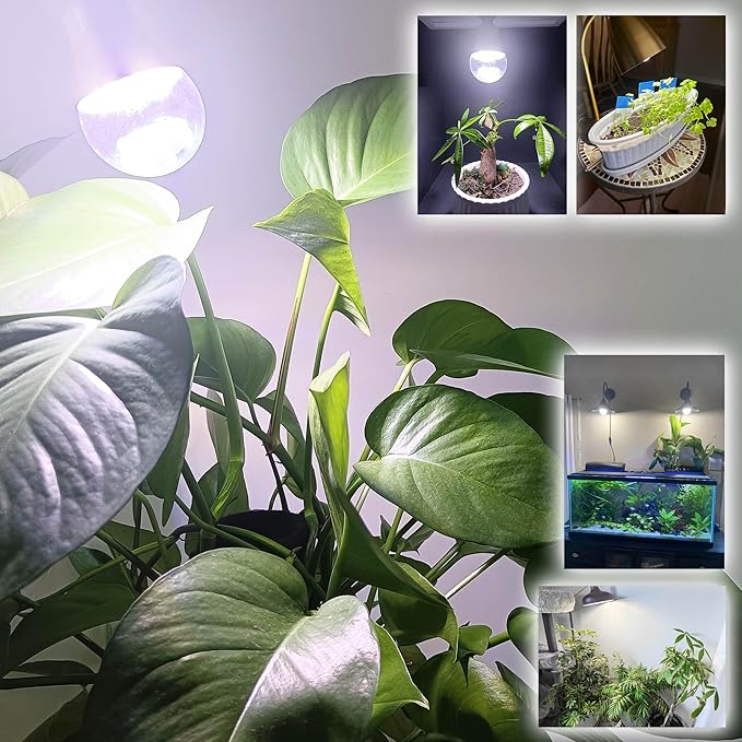 Candelabra LED Plant Grow Light Bulbs E12 Indoor Plants Full Spectrum,Small Base LED Sun Light Bulbs Plant Growing 100W Equivalent with Balanced Spectrum 5000K Red Blue for Seeds Greens Flower,1Pcs