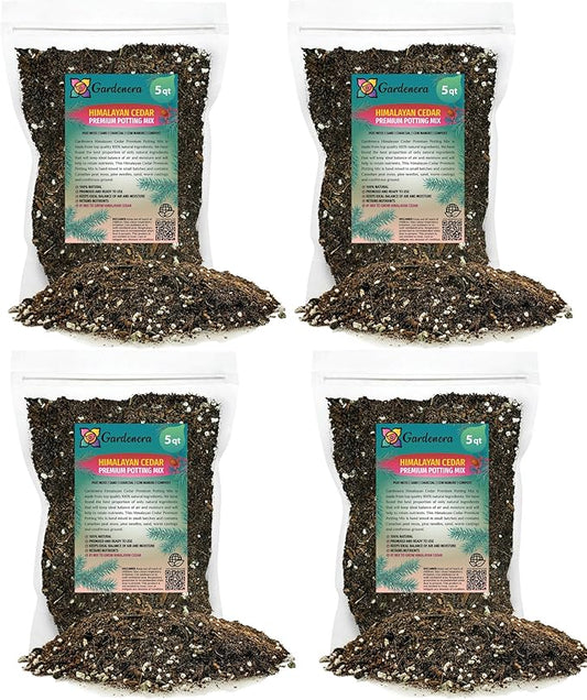 Premium Himalayan Cedar Potting Soil Mix - Perfect Balance of Nutrients, Drainage, and Aeration for Healthy Cedar Trees - 20 Quart