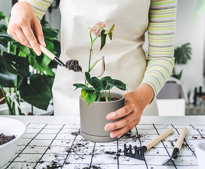 D'vine Dev Set of 4 Small Ceramic Plant Pots, 4.6 Inch Succulent Planter Pot for Plants with Drainage Hole and Saucer, Grey, 94-X-B-3