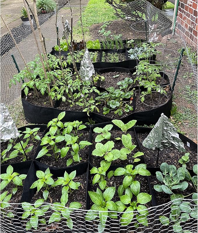 CJGQ 2 Pack Fabric Raised Garden Bed 6x3x1ft Garden Grow Bed Bags for Growing Herbs, Flowers and Vegetables 128 Gallon…