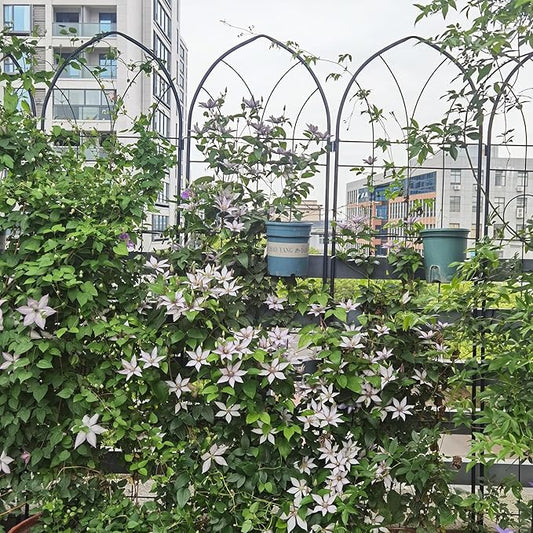 Metal Garden Trellis Rustproof Trellis for Climbing Plants Outdoor Flower Support (Black-4 Pack, 78.7"x19.7")