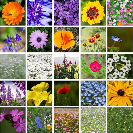Wildflower Seeds Bulk - Meadow Wildflower Seed Mix, 5 Lbs Bulk, Annual & Perennial Wildflowers Seeds for Planting, Wild Flower & Grass Garden Mixture, Mountain Valley Seed Company