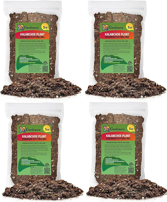 Kalanchoe Plant Premium Potting Mix - 20 Quart - Optimize Growth with Natural Ingredients (4 Bags of 5 Quartz)