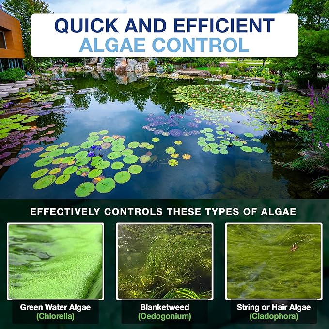 Aquascape Algaecide for Ponds, Waterfalls, and Fountains – Fast-Acting Algae Control, 32 oz / 946 ml, 96024