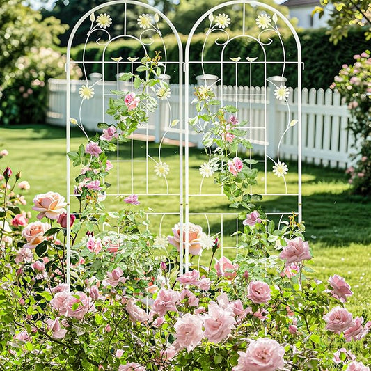 LZRS 2 Pack 71x20in Rustic Iron Arch Decoration Garden Trellis with Black Metal Coating – Perfect for Supporting Climbing Plants Outdoor, Roses, Vines, Flowers, and Vegetables.