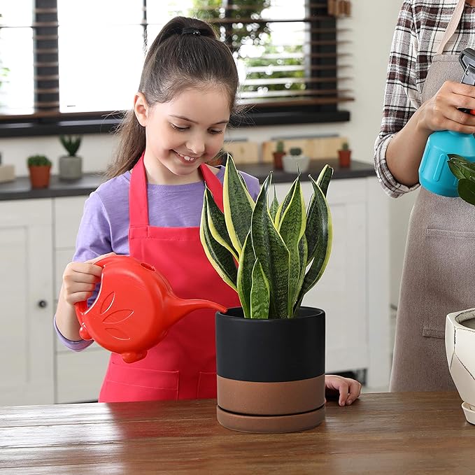 D'vine Dev 6 Inch Ceramic Planter Pot with Drainage Hole and Saucer, Indoor Cylinder Round Planter Pot, Black/Speckled Tan, 94-O-C-7