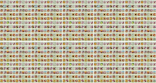 Set of 1000 Assorted Valley Green Flower Seed Packets! Flower Seeds in Bulk - 20+ Varieties Available! (1000)