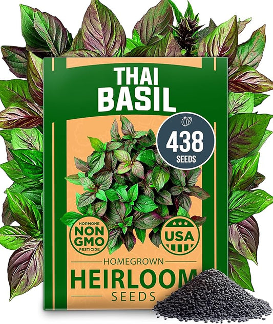 HOME GROWN Thai Basil Seeds Pack - 438 High Germination 𝗡𝗢𝗡-𝗚𝗠𝗢 𝗨𝗦𝗔 Heirloom Herb Seeds for Planting,Ideal for Growing Fresh Basil Planting Indoor or Outdoor(Ocimum basilicum var.thyrsiflora)