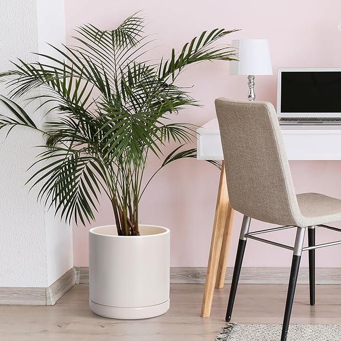 D'vine Dev 12 Inch Ceramic Planter Pot with Drainage Hole and Saucer, Indoor Cylinder Round Planter Pot, Oatmeal, 94-O-F-8