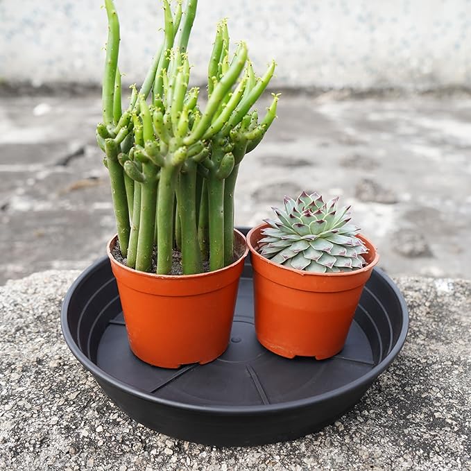 4 Packs 6 Inches Plant Saucer Drip Trays, Round Plastic Plant Pot Saucers Flower Pot Tray for Indoor Outdoor