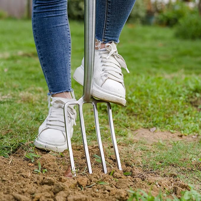 Berry&Bird Garden Digging Fork, 37.4" Stainless Steel Garden Spading Fork with D-Grip Handle, 4-Tine Heavy Duty Long Handled Pitchfork with Ash Wood Handle for Digging, Planting, Cultivating, Aerating