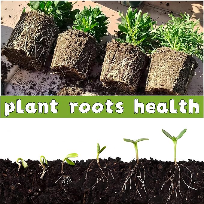 240 Cells Peat Pots Seed Starter Tray 24 Packs Biodegradable Seedling Pots Germination Trays Peat Pot for Seedling Organic Seed Starting Trays kit with 24 Labels 2 Transplant Tools