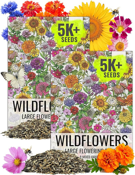 Seed Needs Garden Flower Seeds Large Blooms Mix Hummingbird and Butterfly | 2 Packs (1 Ounce Each) No Filler 7 Varieties Open Pollinated | Resealable Package Live Wild Flower Seed | Bulk