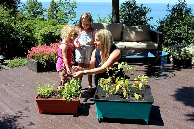 Emsco Group 2360 Little Pickers Raised Bed Children’s Improved Aeration – Mobile Unit with Casters – Teaches Kids Self Watering Grow Box, Teal