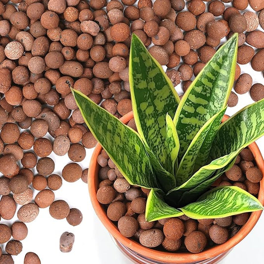 T4U Leca Clay Pebbles for Plants, 10 LBS 10-20 mm Clay Balls for Indoor Plants, Natural Clay Pebbles for Orchid Potting Mix, Hydroponic, Leca Pots, Plant Drainage, Garden Soil