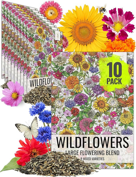 Seed Needs Garden Flower Seeds Large Blooms Mix Hummingbird and Butterfly | 10 Packs (1 Ounce Each) No Filler 7 Varieties Open Pollinated | Resealable Package Live Wild Flower Seed | Bulk