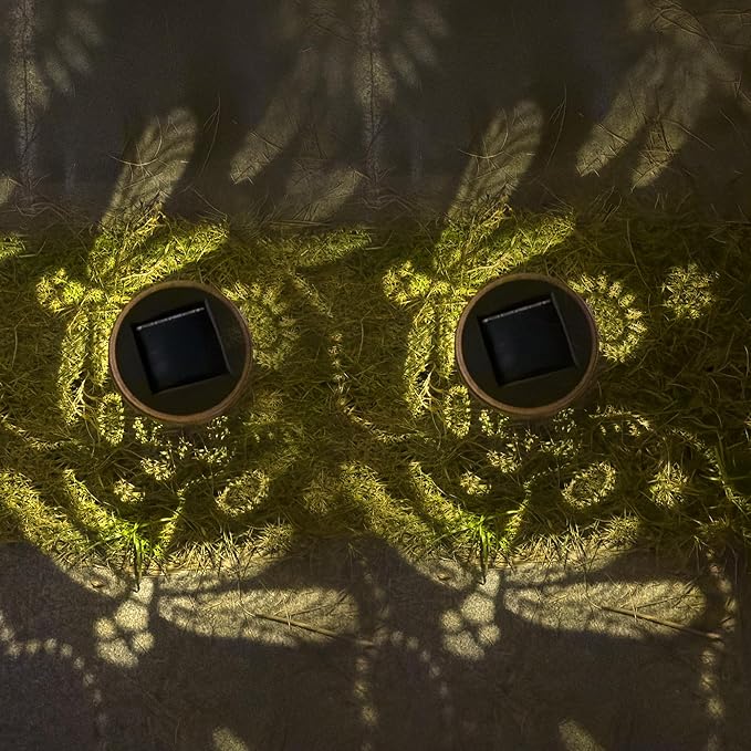 2 Pack Dragonfly Solar Pathway Lights: Outdoor, Waterproof Solar Walkway Lights for Garden, Backyard Patio, Path Yard, Lawn