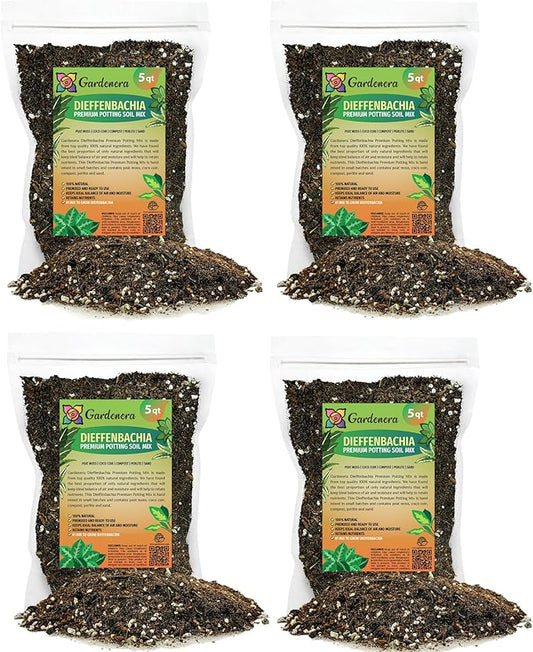 Premium DIEFFENBACHIA Potting Soil Mix - Ideal for Growing Robust and Healthy Dieffenbachia - 20 Quart