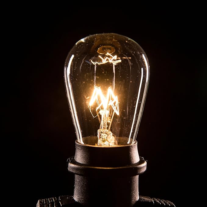 Hometown Evolution, Inc. 100 Foot Commercial Grade Outdoor String Lights (100 Foot 50 Socket, S14 11 Watt Clear Light Bulbs)