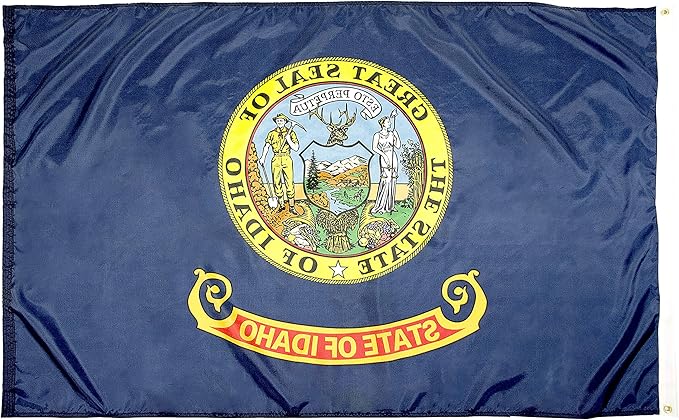 FlagSource Idaho Nylon State Flag, Made in USA, 5x8'