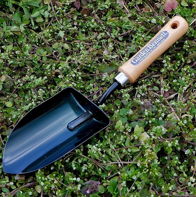 Garden Helper Large Garden Trowel Hand Tool, Hand Shovel for Planting and Transplanting, Heavy Duty Japanese Steel Blade, Wood Handle, Made in Japan