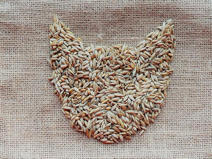 Simple Cat Grass Blend | 100% US Organic + 4 Popular Seeds | Wheat, Barley, Oats, Rye Mix Combo | Show Your Love with a Healthy Pet Snack Treat (6 Ounce ~4800 Seeds)