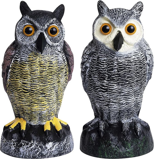 Galashield Owl Decoy to Scare Birds Away | Plastic Owls to Scare Birds Away | Owl Statue for Garden & Outdoors by Galashield [Set of 2]